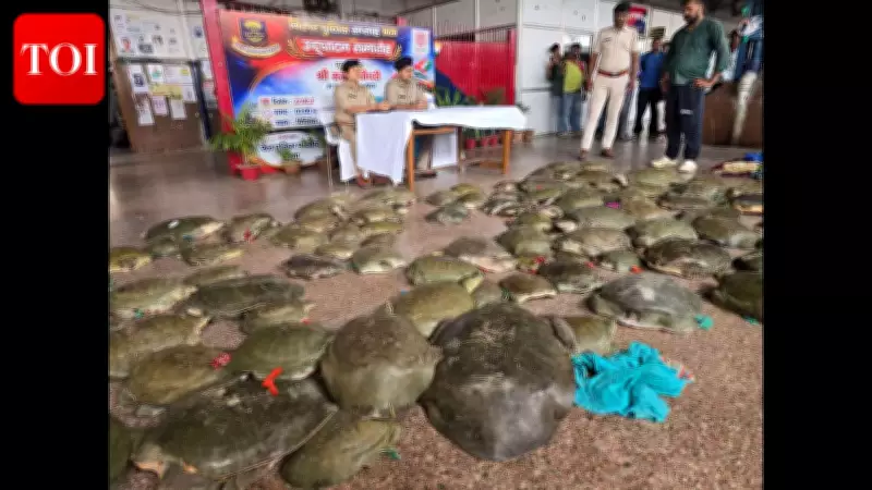 Patna GRP Busts Major Turtle Smuggling Racket on Farakka Express, Rescues 100+ Turtles