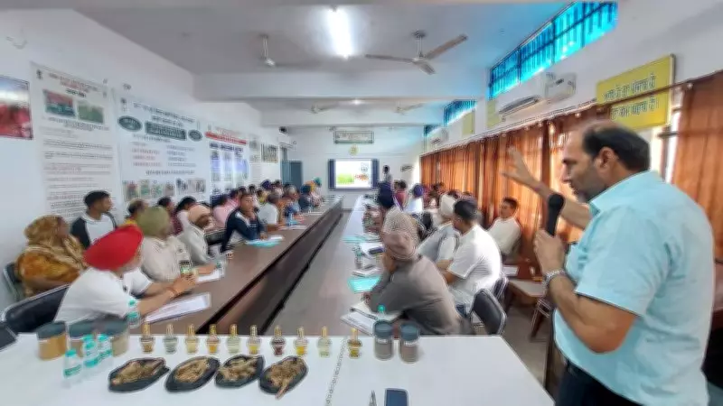 PAU KVK Hoshiarpur Trains Farmers in Spice Crop Cultivation for Diversification