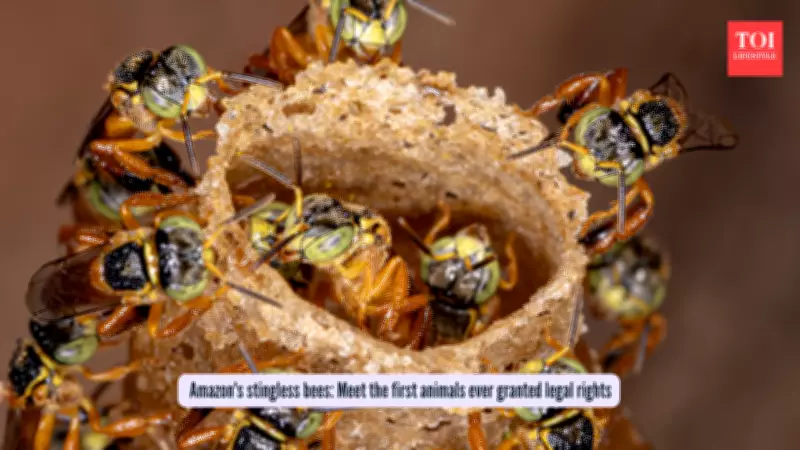 Peru's Amazon Stingless Bees Become World's First Insects with Legal Rights