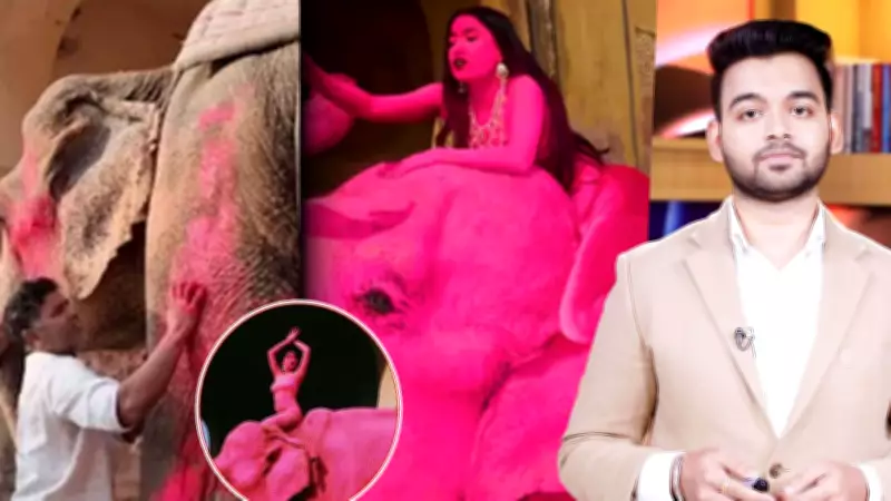 Pink Elephant's Death After Viral Art Shoot Ignites National Debate on Animal Rights