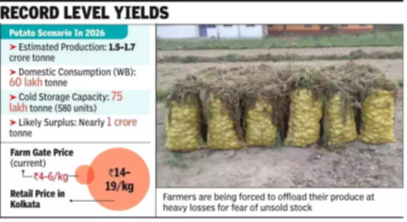 Potato Price Crisis in Bengal: Farmers Sell at Rs 4-5/kg While Kolkata Pays Rs 14-19