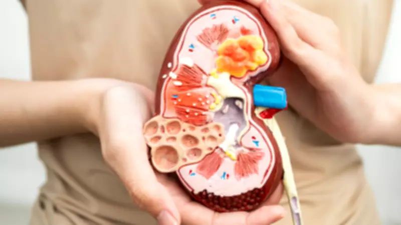Protein Powders & High-Protein Diets: Kidney Experts Reveal Hidden Risks