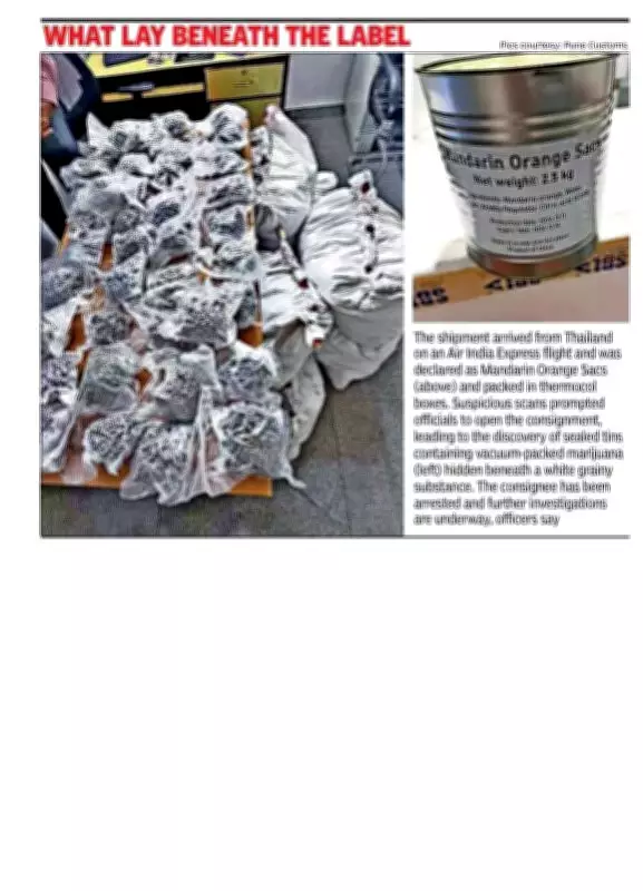 Pune Customs Seizes Rs 26.8 Crore Hydroponic Weed from Thailand Cargo