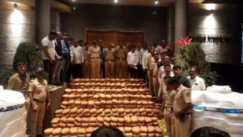 Pune Police Seize 479kg of Ganja Worth Rs 2.39 Crore in Baramati Farm Raid