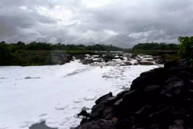 Pune Residents Take Charge: Blue Ridge Township Cleans Nullah Amid Official Apathy