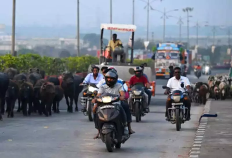 Pune Traffic Police Launch Road Safety Campaign in Key Areas