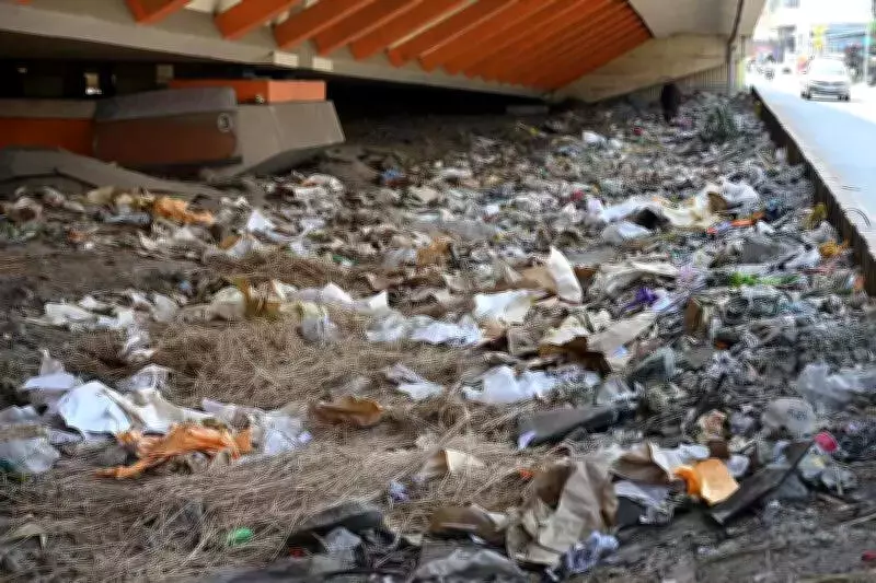 Pune Village Grapples with Garbage Crisis, Health Fears Mount Ahead of Festivals