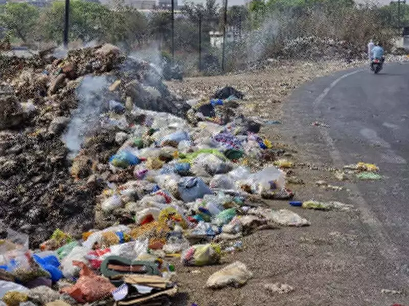 Pune Woman Severely Injured in Stray Dog Attack, Residents Demand Action