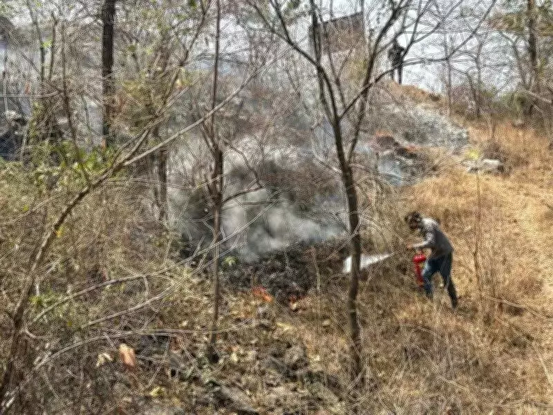 Pune's Green Cover Under Siege: Forest Fires Spark Citizen Outcry Amid Development Push