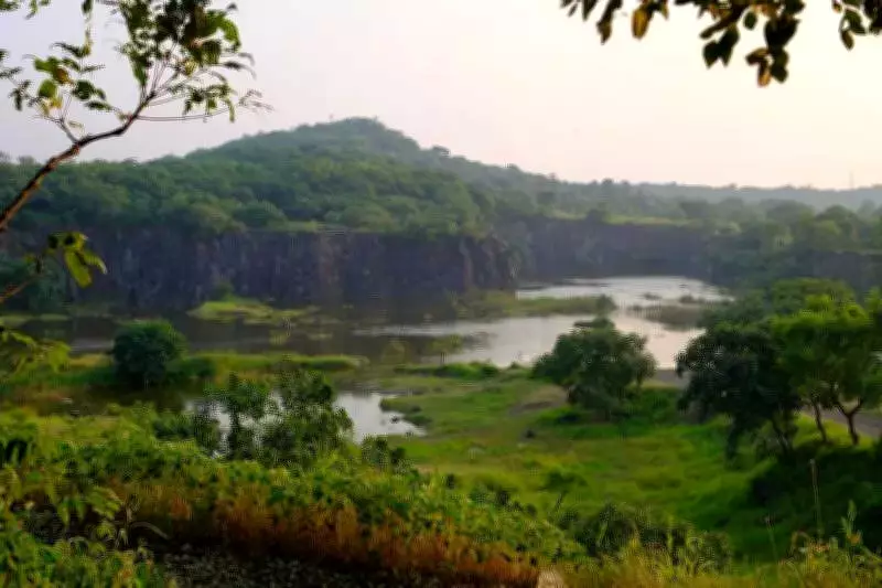 Pune's Vetal Tekdi Valued at Rs14.6 Lakh Crore Annually in Environmental Services