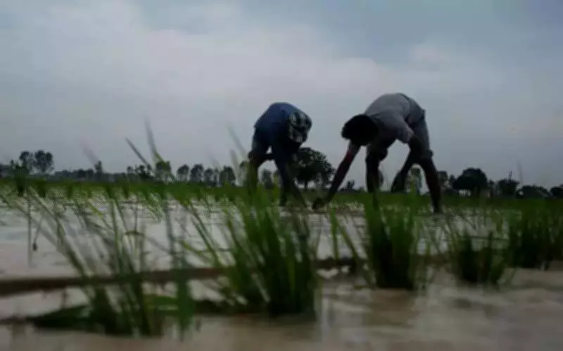 Punjab Budget 2026-27: Water Conservation Schemes Extended Despite Mixed Results