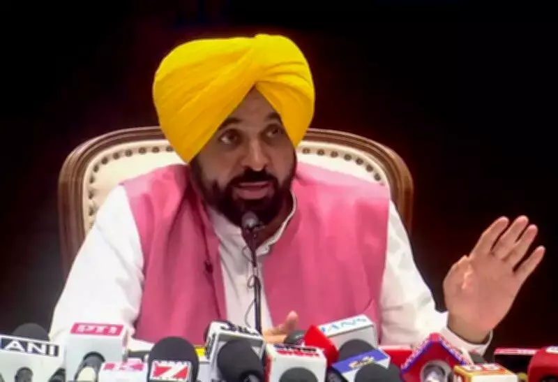 Punjab CM Bhagwant Mann Urges PM Modi to Protect India's Economic Security Amid Gulf Tensions