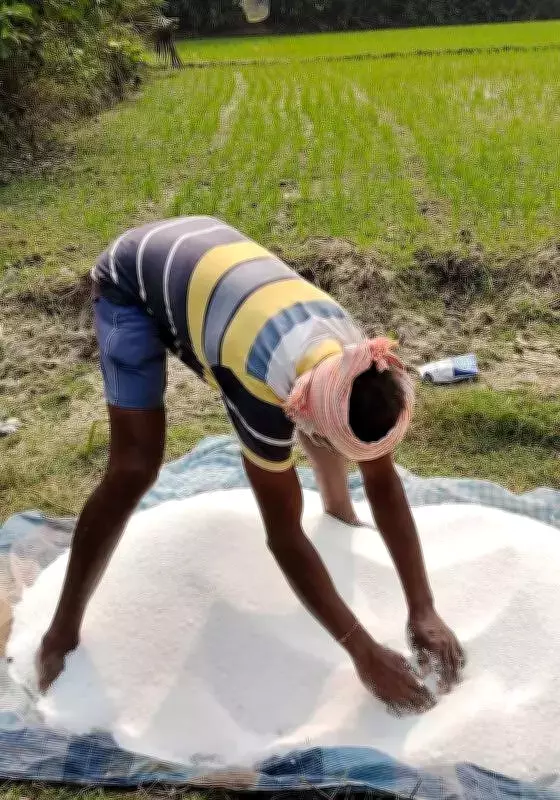 Punjab Fertilizer Plants Halt Production Amid LNG Supply Cut, Threatening Kharif Season