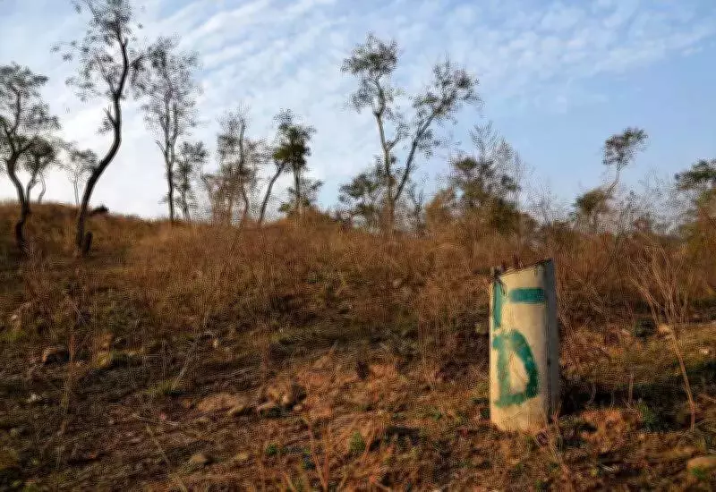 Punjab Launches High-Tech Forest Mapping Drive Using LiDAR and Drones