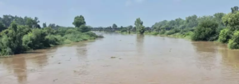 Punjab Panel Urges Government to Oppose Haryana's New Ghaggar River Dams