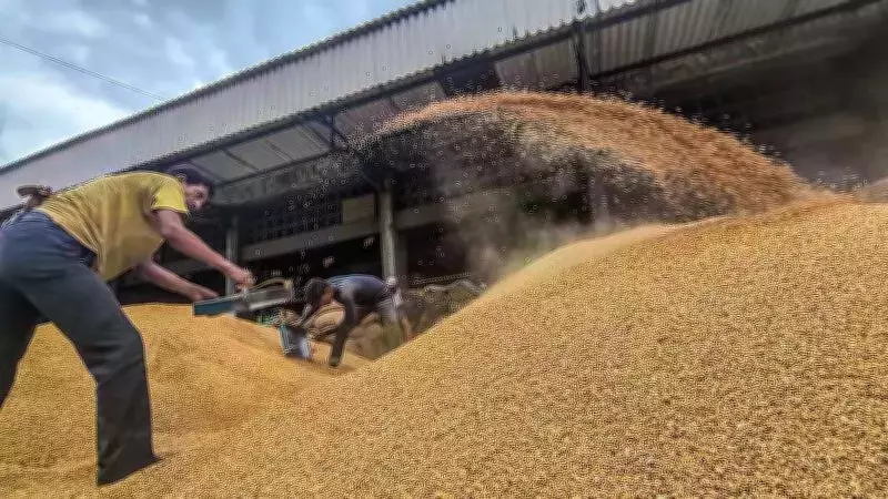 Punjab Police File Case Against Wheat Godown Owner for Obstructing Govt Inspection