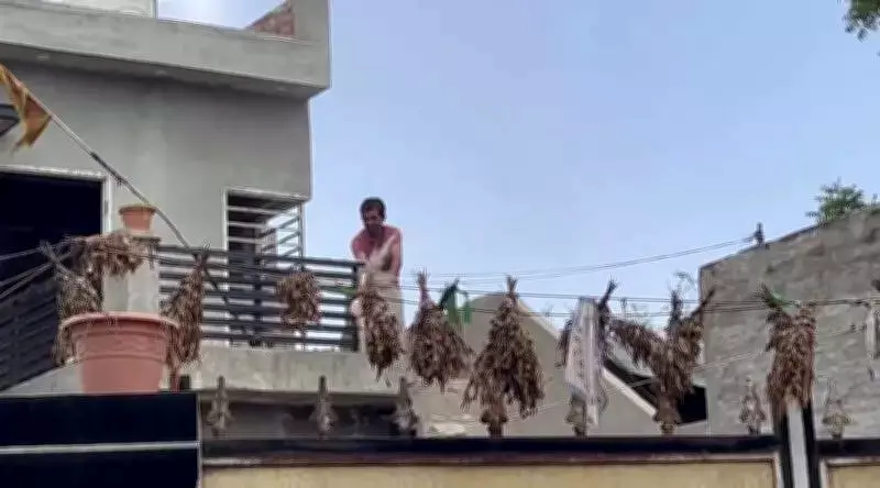 Punjab Police Thwart Mob's Attempt to Demolish Drug Accused's Home in Mansa