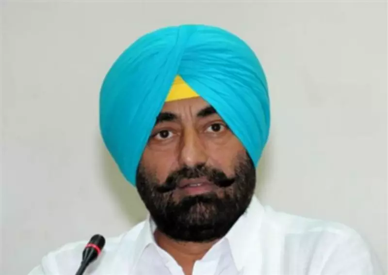 Punjab Privileges Panel to Investigate AAP MLA's Remarks in Assembly