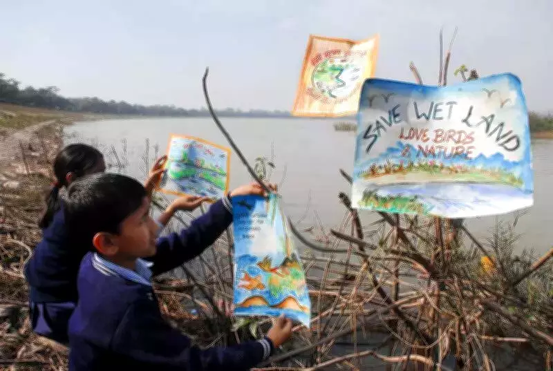 Punjab Wetlands See Migratory Bird Numbers Drop, Species Diversity Rises