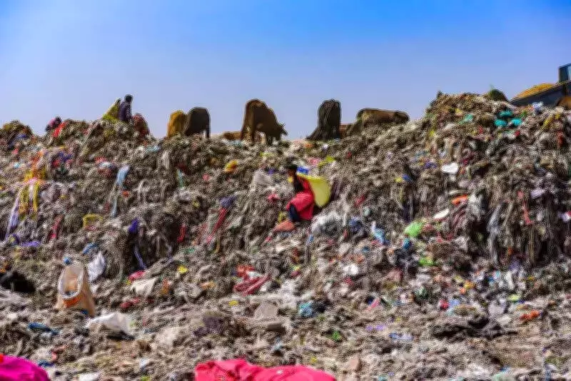 Punjab's 41 Lakh Tonne Legacy Waste Crisis: Full Remediation by 2027