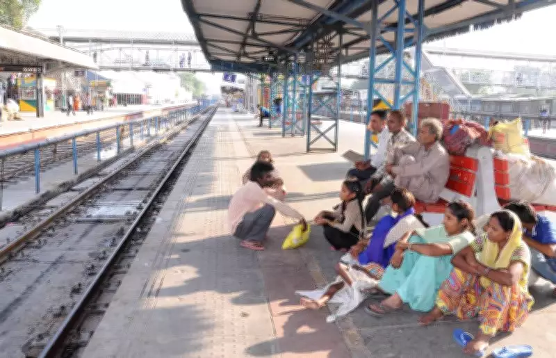 Punjab's Cancer Belt: A Misplaced Crisis and Its Underlying Causes