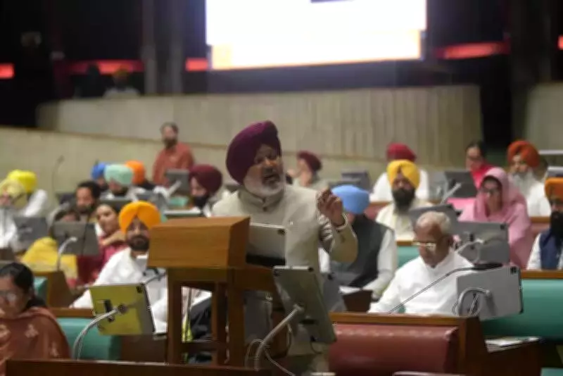 Punjab's Economic Growth Slows to 6.1% in 2025-26, Trails National Average