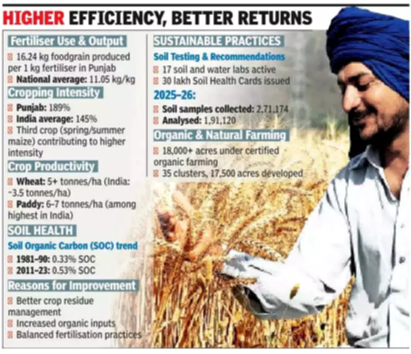 Punjab's Fertilizer Efficiency: 16.24 kg Grain per kg Fertilizer, Soil Health Improves