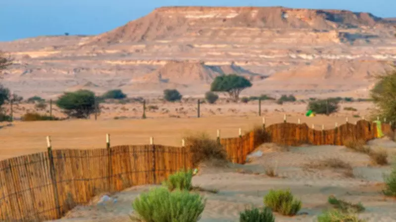 Qatar's Forest-Free Landscape: How Desert Nation Thrives Without Trees