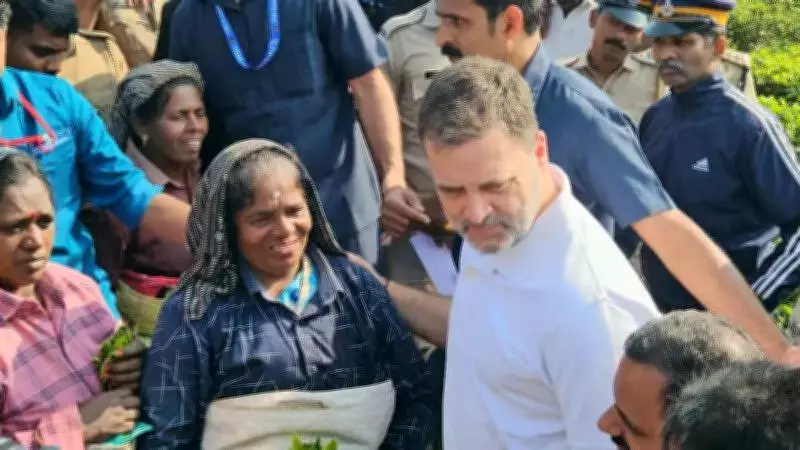 Rahul Gandhi Halts Convoy to Engage with Tea Plantation Workers in Idukki