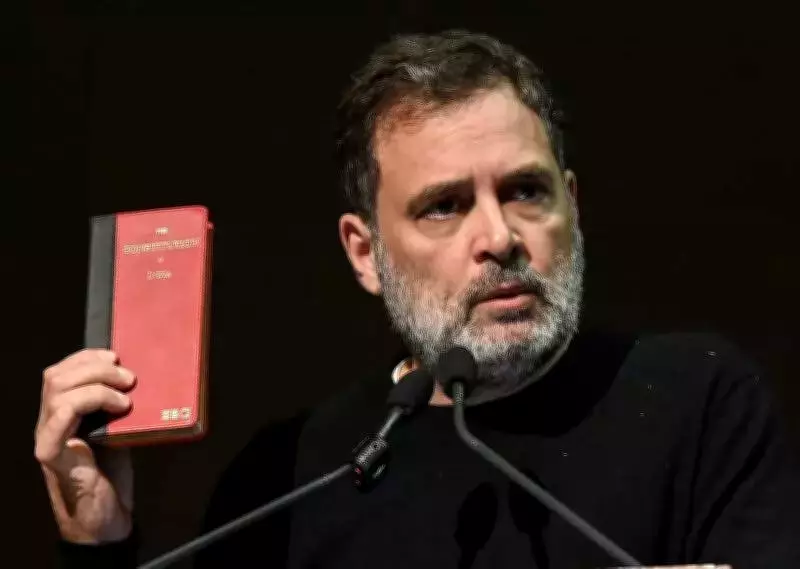 Rahul Gandhi's Tamil Nadu Campaign Tour Announced Amid Opposition Criticism