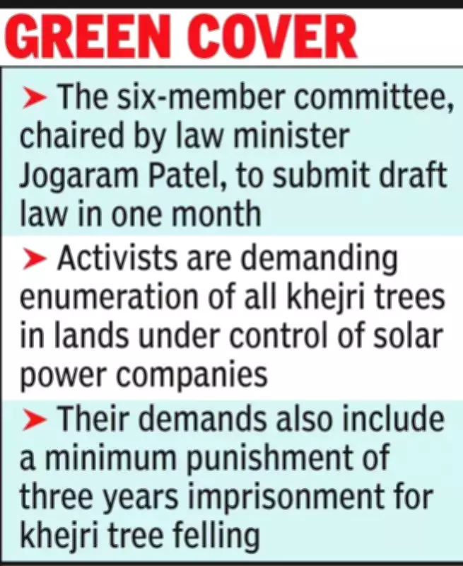 Rajasthan Forms Committee to Draft Special Law for State Tree Khejri Protection