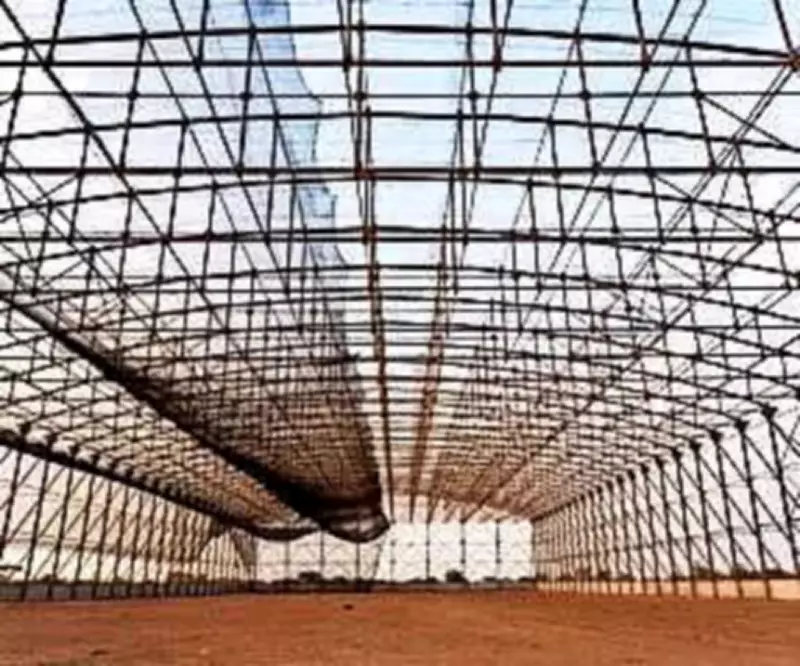 Rajasthan Launches India's First GIB Rewilding Tunnel in Jaisalmer