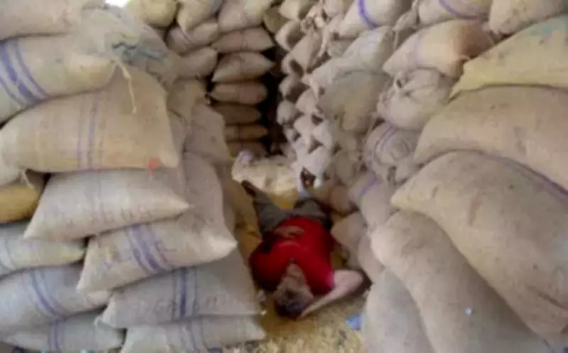 Rajasthan Warehousing Corp Audit Exposes Rs 1.57 Crore Undue Benefit to Private Firm