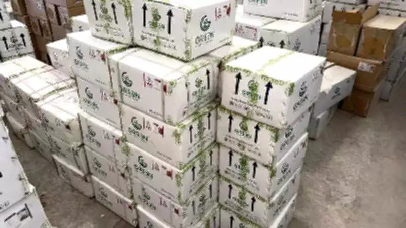 Rajkot Police Bust Major Counterfeit Pesticide Racket, Seize Stock Worth Over Rs 25 Lakh