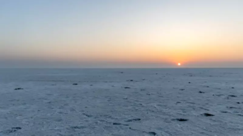 Rann of Kutch: A Salty Wonderland Worth Every Journey