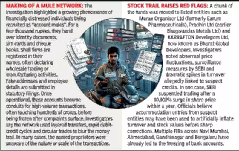 Rapido Driver's Bank Accounts Used in Rs 550 Crore Money Laundering Probe in Ahmedabad