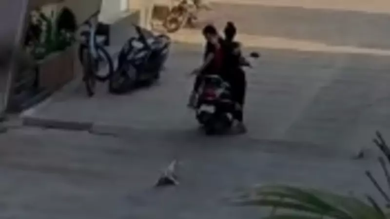 Ratlam Outrage: Women Drag Dog Behind Scooter, FIR Filed After Video Goes Viral