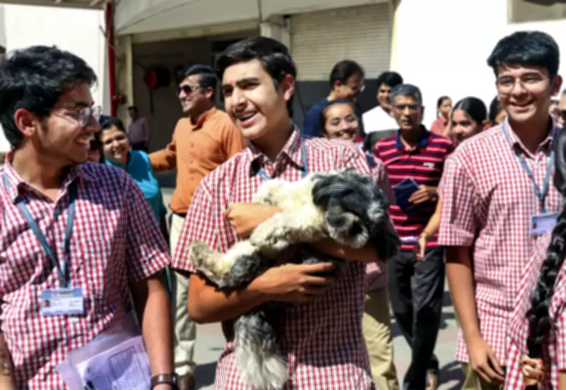 RBSE Class 12 Science Result 2026 Declared: 97.52% Pass Rate, Girls Outperform