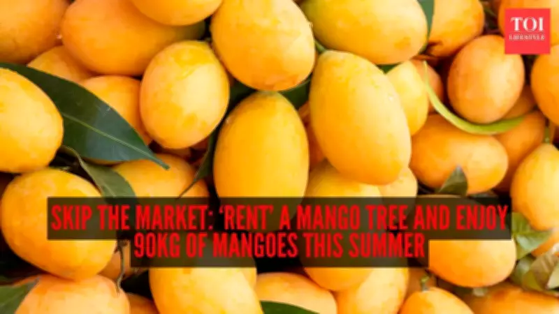 Rent-A-Tree Trend: Indians Lease Mango Trees for Seasonal Harvest