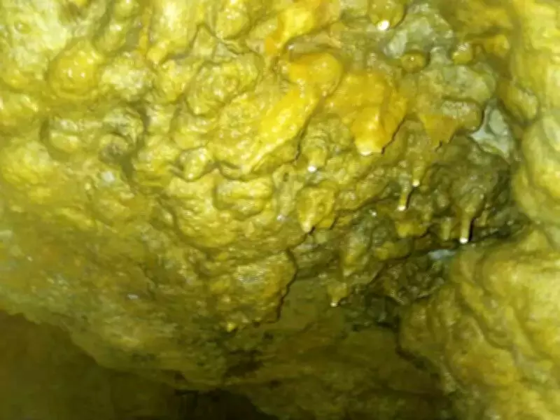 Retired Principal Uncovers Forgotten Cave in Pithoragarh After Decades of Abandonment