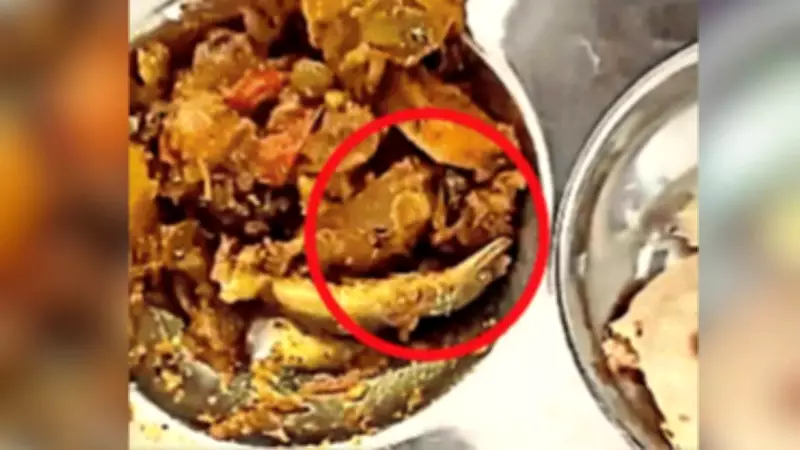 RGPV Students Find Lizard in Canteen Meal, Worker Eats It Claiming It's Capsicum
