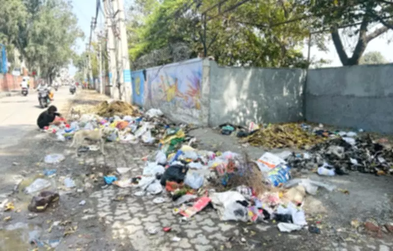 Rohtak's Swachh Push Faces Hurdles as Delayed Waste Lifting Irks Residents