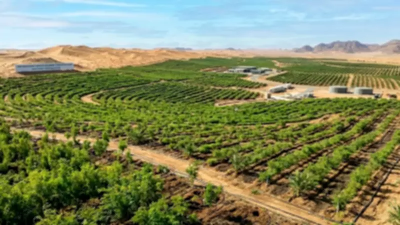 Saudi Arabia Achieves Major Green Milestone: 1 Million Hectares Restored