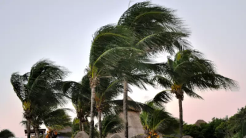 Saudi Arabia Issues Orange, Yellow Weather Alerts for Rain, Winds Across Regions