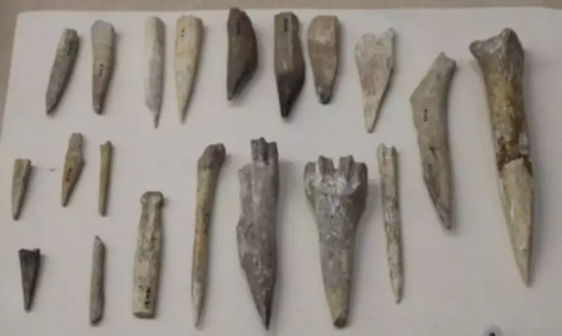 Saudi Arabia's 13,500-Year-Old Settlement Rewrites Arabian Human History