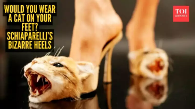 Schiaparelli's Feline Kitten Heels Stun Paris Fashion Week with Hyper-Realistic Design