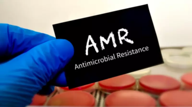 Scientists Discover Common Antibiotic Resistance Genes in Bacteria Across Major Indian Cities