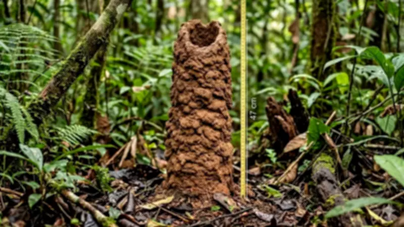Scientists Uncover Purpose of Amazon's Bizarre Clay Chimneys Built by Cicadas