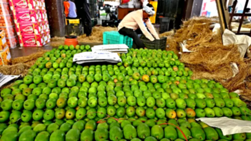 Scorching Heat and Scarcity: Why Alphonso Mango Prices Are Skyrocketing This Summer