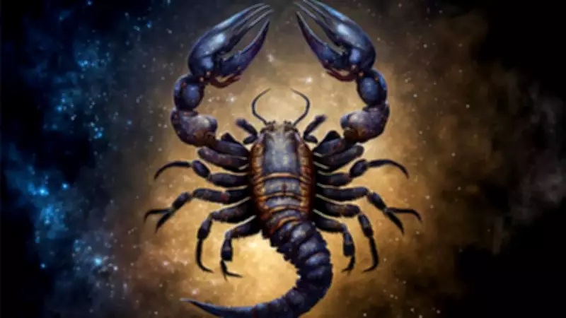 Scorpio Weekly Horoscope: Quiet Power, Intense Focus, and Steady Gains